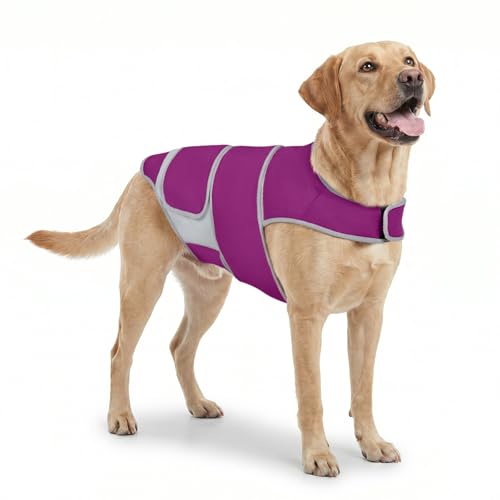 Dog Anxiety Relief Calming Vest (Purple / L)