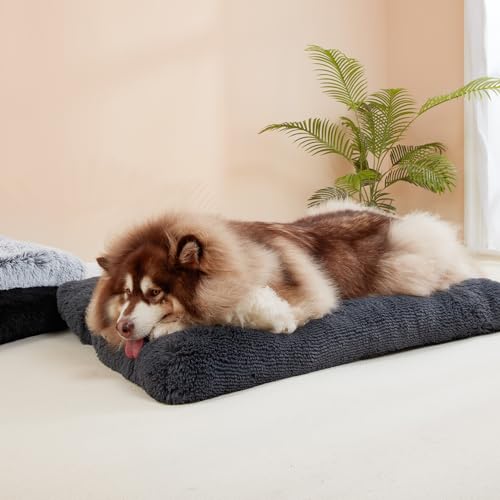 Fluffy Dog Crate Bed for Small Dogs (Dark Grey / 23.5 x 17.5)
