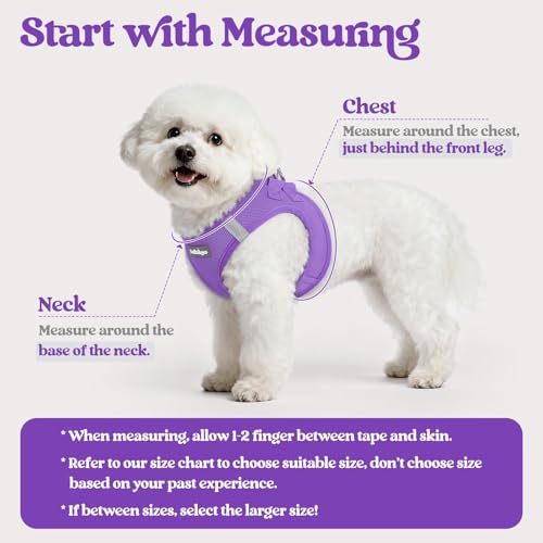 Dog Harness Medium Sized and Leash Set (Purple / L (chest: 18.2 - 20.5"))