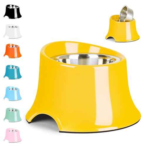 Non Slip Elevated Dog Bowl (L/3 Cup / Yellow)