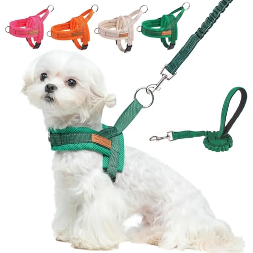Small Dog Harness and Leash Set (Green / XS: Chest 15"-18")