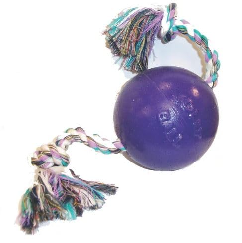 Romp-N-Roll Rope & Ball Dog Toy, 4.5 in Small, Purple (Purple / Small (4.5 in))