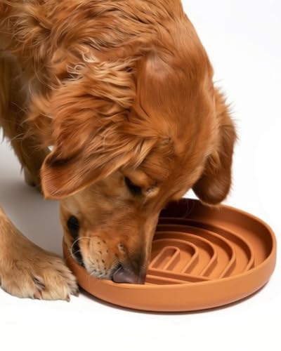 Slow Feeder Dog Bowl (Terracotta - Rainbow Design / Large (9.5” Across and 1.5” Tall))