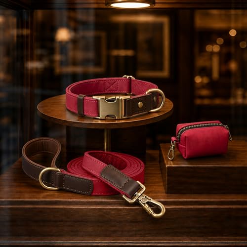 PU Leather Dog Leash for Large Dogs (Red / 1"x 6FT)