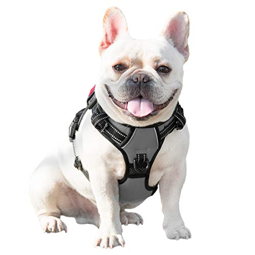 No Pull Dog Harness Medium Reflective Front Clip Vest with Handle (Extra Large / Gray)