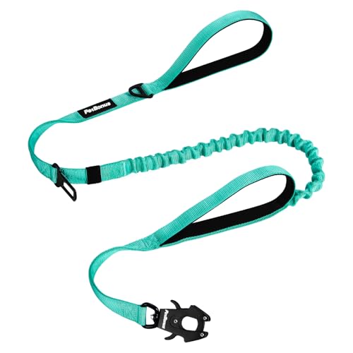 Heavy Duty Tactical Dog Leash (Turquoise)