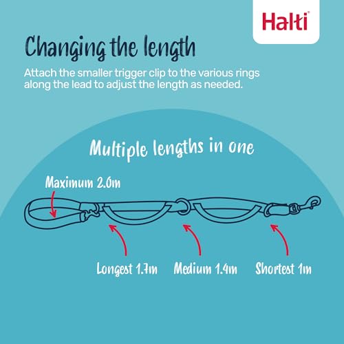 Control Leash for Dogs (Single)