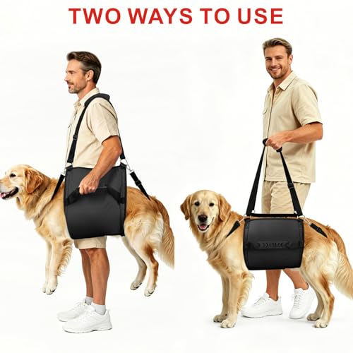 Rehab Dog Lift Harness (Black / Large)