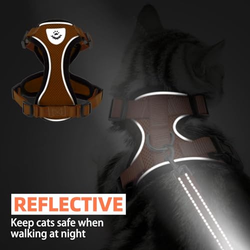 Cat Harness and Leash Set Escape Proof Reflective Cat Walking Harness Adjustable Soft Breathable Mesh Vest for Small Pets (S (NECK 9.5"-11", CHEST 13"-16") / Orange)