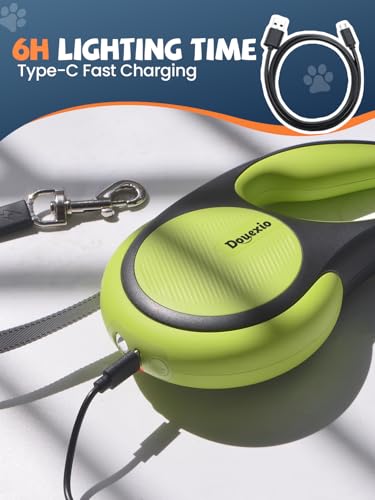 Retractable Dog Leash with LED Flashlight (Black-Green)