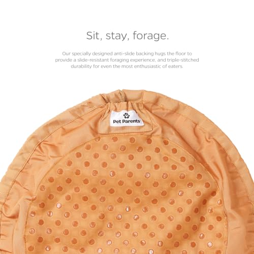 Forager Snuffle MAT and Slow Feeder Dog Bowl