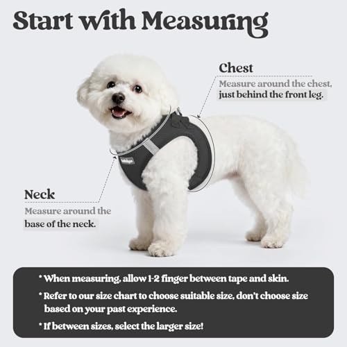 Dog Harness Small Sized and Leash Set (Black / Xs (chest: 13.3 - 15.5"))