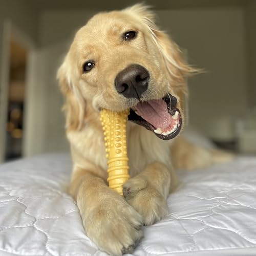 Power Chew Customer Favorites Dog Chew Toys (Large / Bundle)