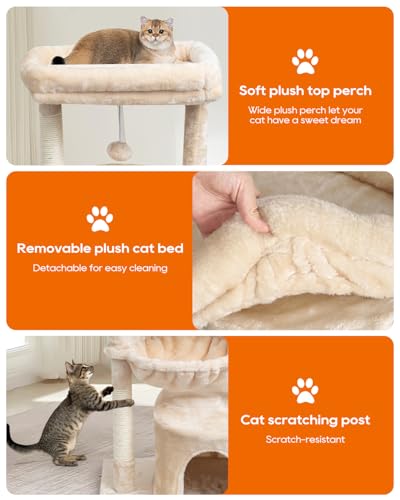 Small Cat Tree for Indoor Cats (29.6" / Beige)