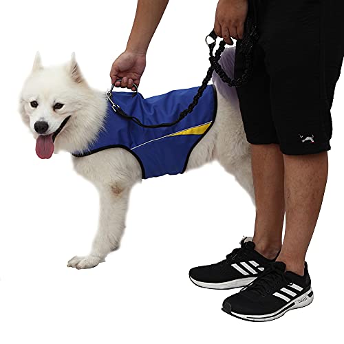 Dog Anxiety Jacket (Blue / XL (Pack of 1))