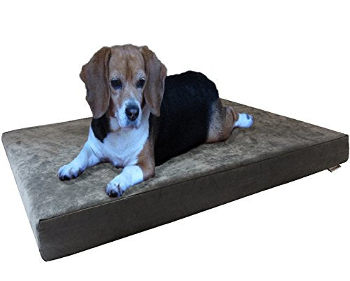 Orthopedic Gel Infused Memory Foam Dog Bed with Washable Suede Gray Cover and Waterproof Internal Liner (Large 37" Length X 27" Width / Microsuede in Gray)