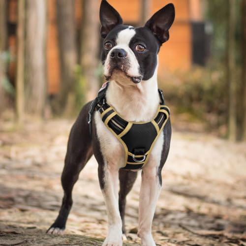 Dog Harness Small Sized (Black & Khaki / Small)