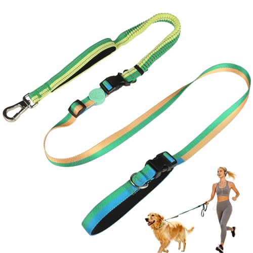 Hands Free Dog Leash with Waist Belt for Running & Walking (Tropical Wave)