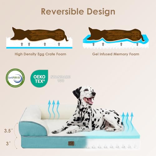 Orthopedic Dog Beds Large Sized Dog (Turquoise Blue / 36.0"l X 27.0"w X 6.5"th)