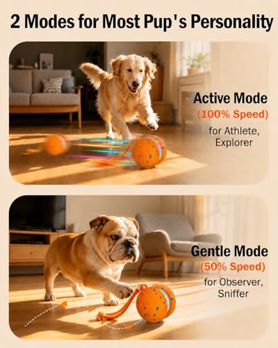 Interactive Dog Toy (Orange)