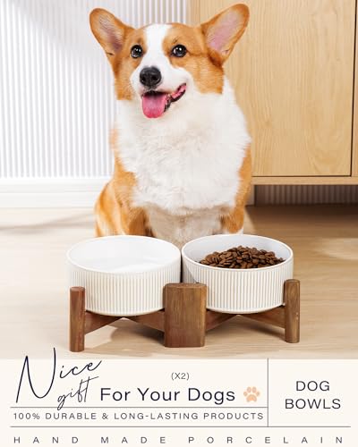Ceramic Dog Bowls Set with Acacia Wood Stand (Large-3.5Cups / Vintage White)