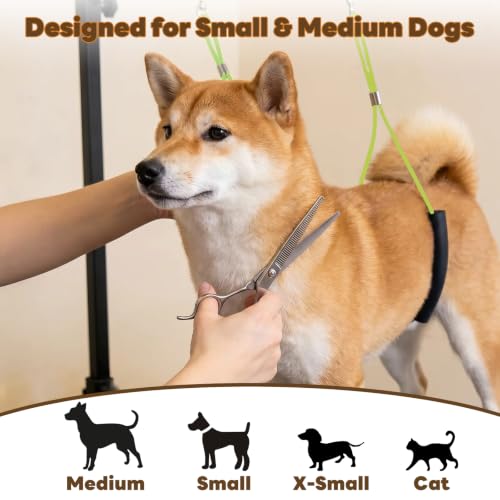 Dog Grooming Arm for Table