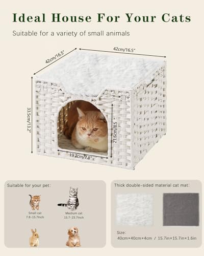 Cat Beds Indoor Kitten House (White / Rectangle-M)