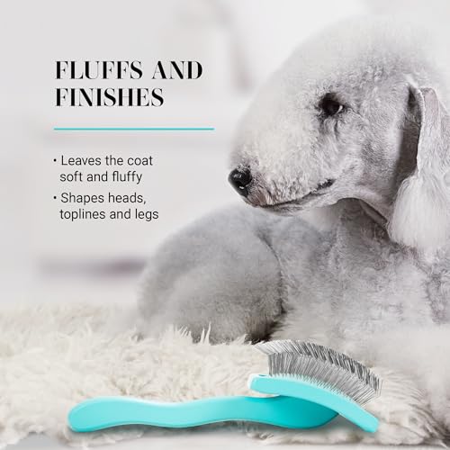 Big G Dog Slicker Brush for Dogs (Large / Teal)