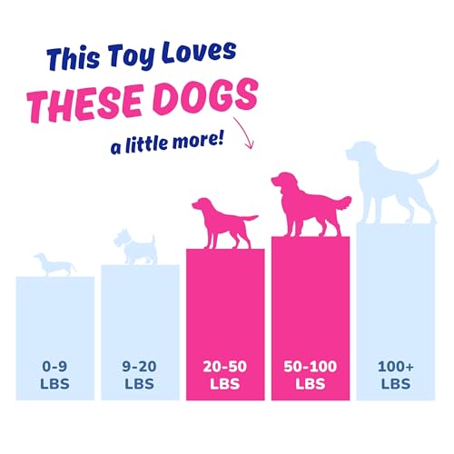 Dog Toy for Aggressive Chewers (Pink)