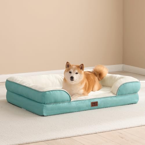 Orthopedic Dog Beds Large Sized Dog (Turquoise Blue / 36.0"l X 27.0"w X 6.5"th)