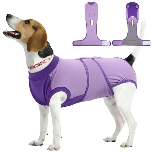 Dog Recovery Suit (Purple / Medium)
