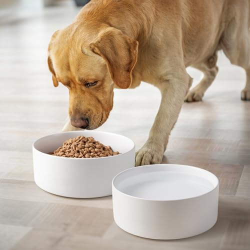 Ceramic Dog Bowls Replacement Set of 2 (White Replacement Bowl / 7.6 Cups | 2 Pack | For Large Dogs)
