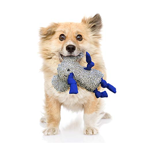 Puppy Chew Toys