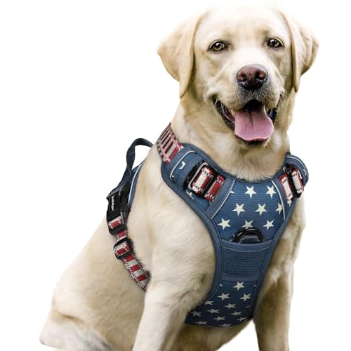 Dog Harness No Pull for Large Dogs with 2 Leash Clips (Large / Blue Star)