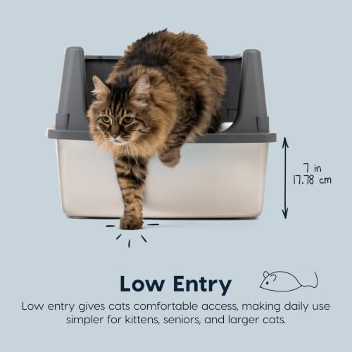XXL Stainless Steel Litter Box Enclosed High Sided for Cats (XXL / Stainless Steel)
