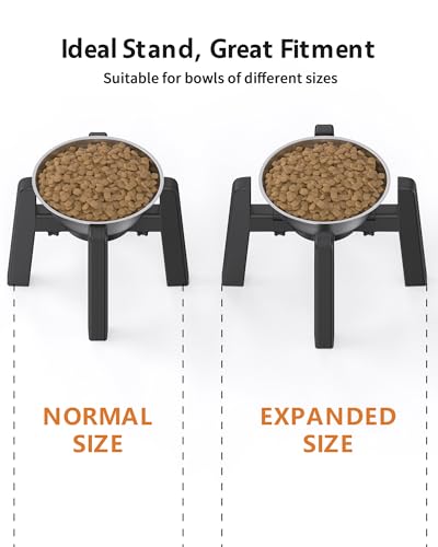 Elevated Dog Bowl (H: 6.3''; W: 6.1-10.4'')