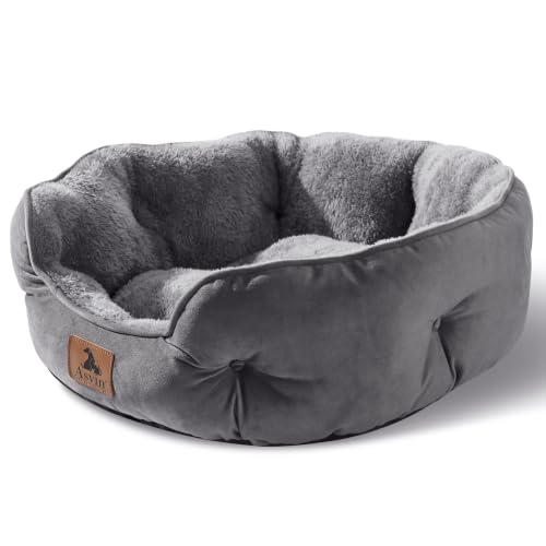 Medium Dog Bed for Medium Dogs (Medium (Pack of 1) / Grey)