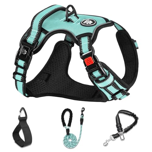 Reflective Dog Harness for Large Dogs (Turquoise / Large)