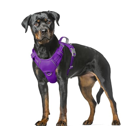 Dog Harness for Large Dogs No Pull Dog Vest ID Tag Pocket (Purple / X-Large)