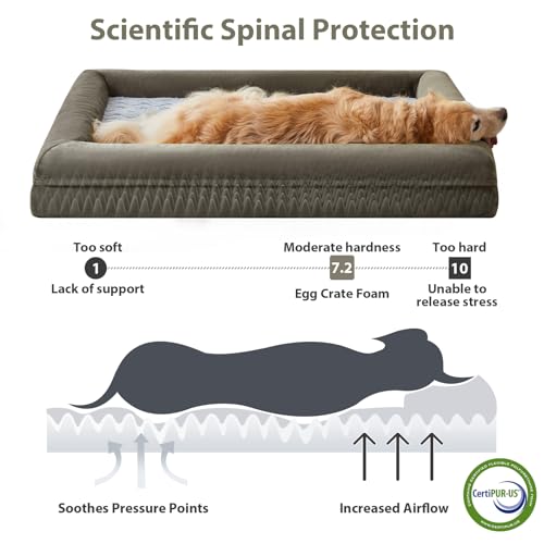 Giant Dog Bed Orthopedic for Senior Dog Bed Comfy Sleeping (Dark Green / XXXX-L (61x43x7.5in))