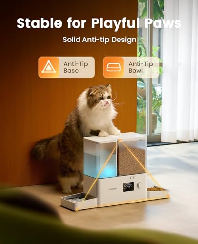 Automatic Cat Feeder and Water Dispenser