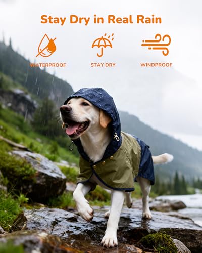 Waterproof Dog Raincoat with Hood (Large / Blue-Green)