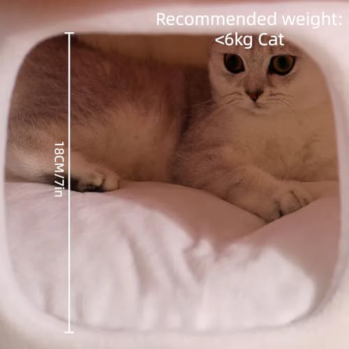 Mushroom Shape Cat House Cow Shape Cats Cave Bed Semi (Red Mushroom / Onesize)