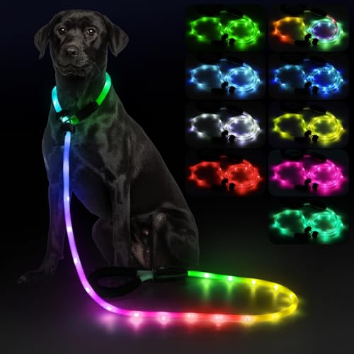 Light Up Dog Leash with Collar 2 (Multi-colored)