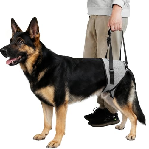 Dog Lift Harness for Dogs (Medium / Grey)