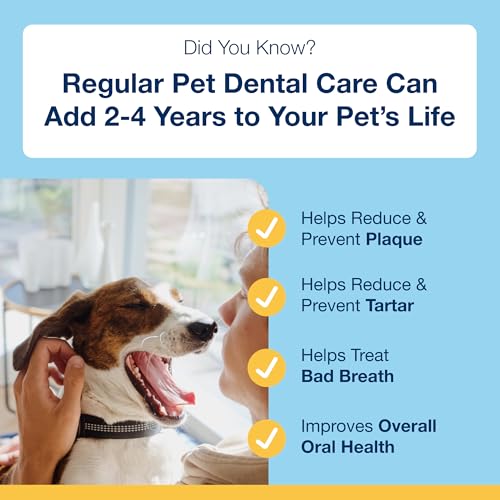 Dental Bones for Dogs