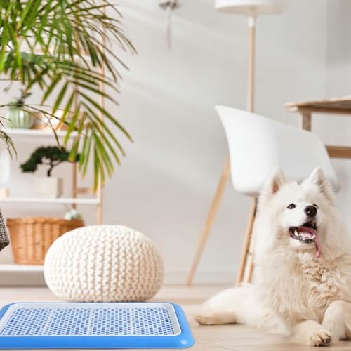 2 Pcs Dog Potty Tray (Blue / 19.7 x 14.2 Inch)