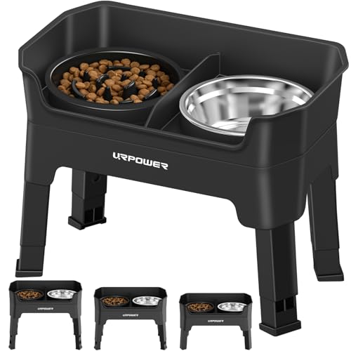 Mess Proof Elevated Dog Bowls Double Deck Slow Feeder (Jet Black / Large)