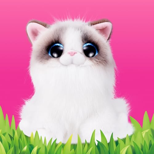 Smitten Kittens Series 2 (Ragdoll)
