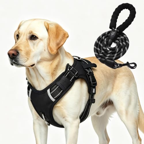 Tactical Dog Harness with Leash (XL)